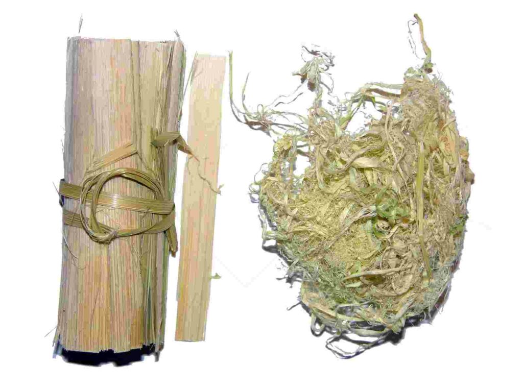 Tinh cây tre: được chế biến bằng cách cạo lớp thân của cây tre