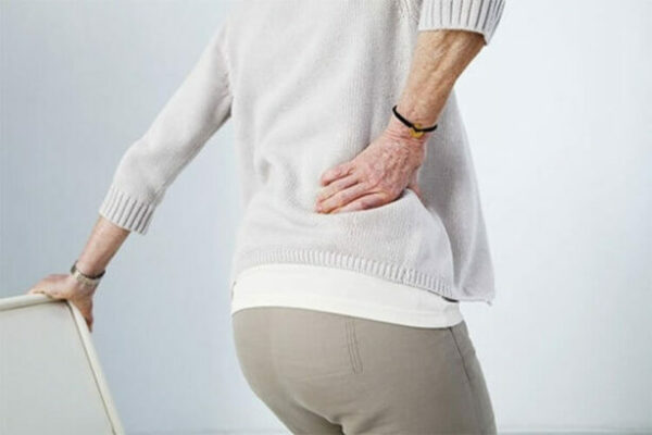Vị thuốc Bạch hạc có thể hỗ trợ đau nhức xương khớp hiệu quả