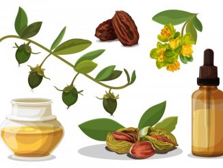 Jojoba thường được sử dụng dưới dạng dầu hoặc sáp