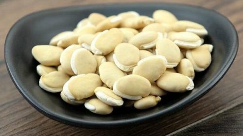 Dược liệu Bạch biển đậu